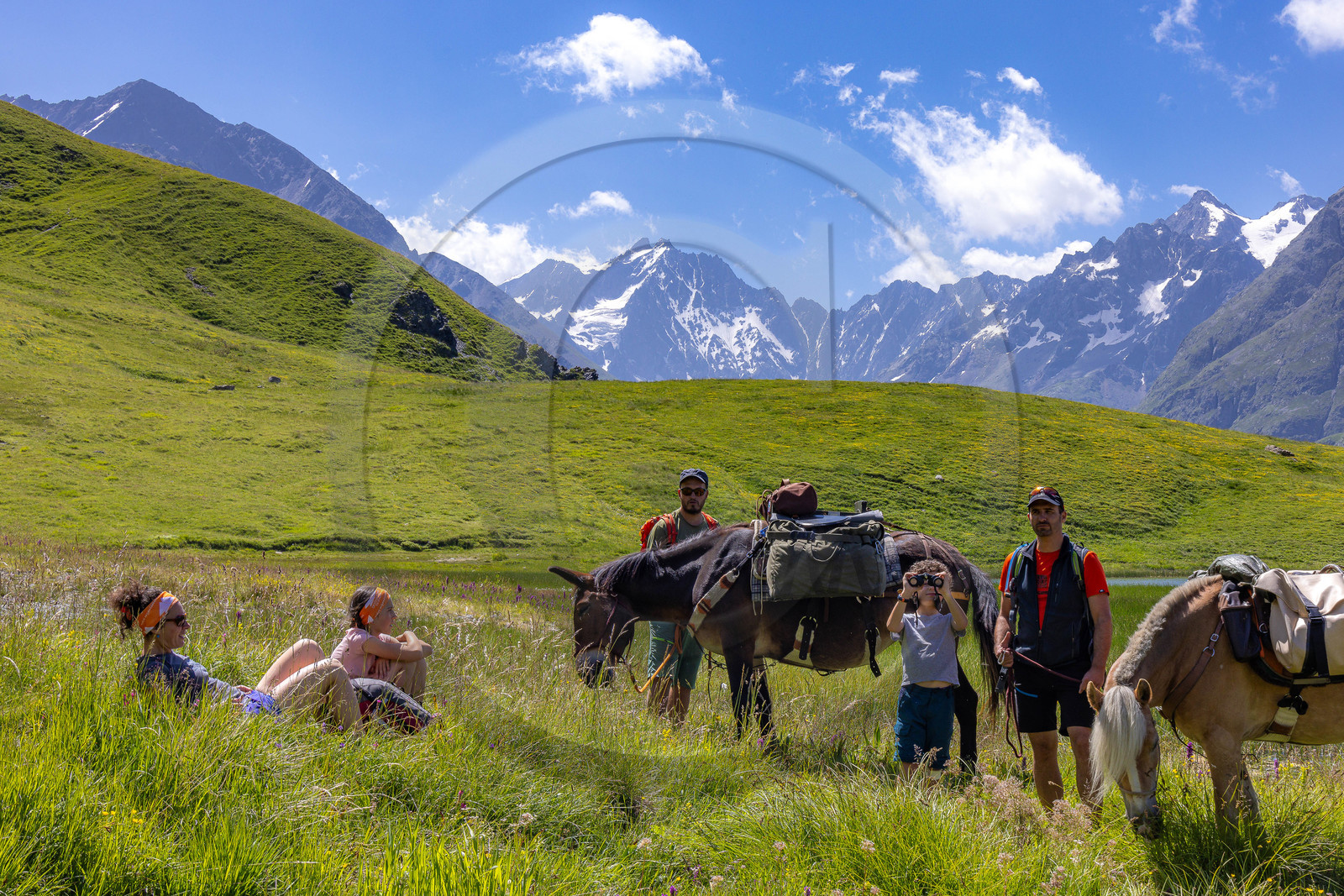 Trek famille avec animaux de bats