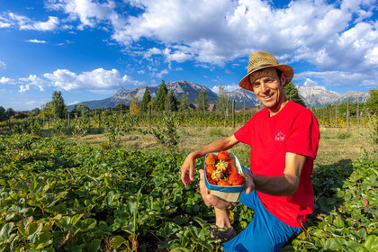 Ecrins de fruits, producteur de fruits rouges