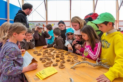 Festival des montagnes d'énergies