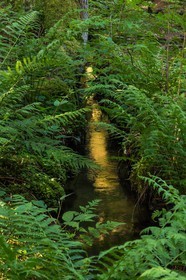 ENS de l'Isère, Marais des Seiglières