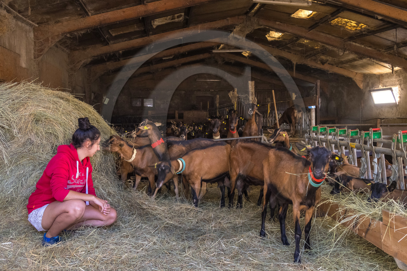 Gaec La Ferme des Ecrins