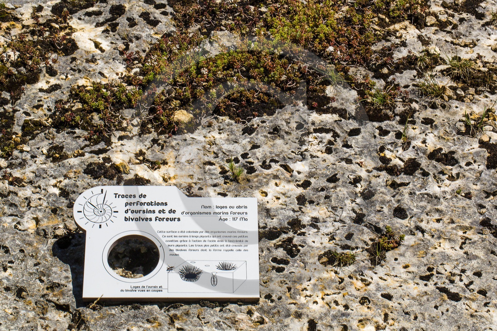 ENS de l'Isère, vallée fossile des Rimets