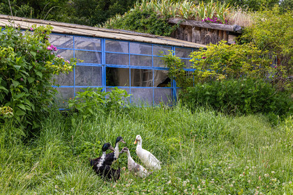 Nibles, Camping à la ferme Agri-Yourte