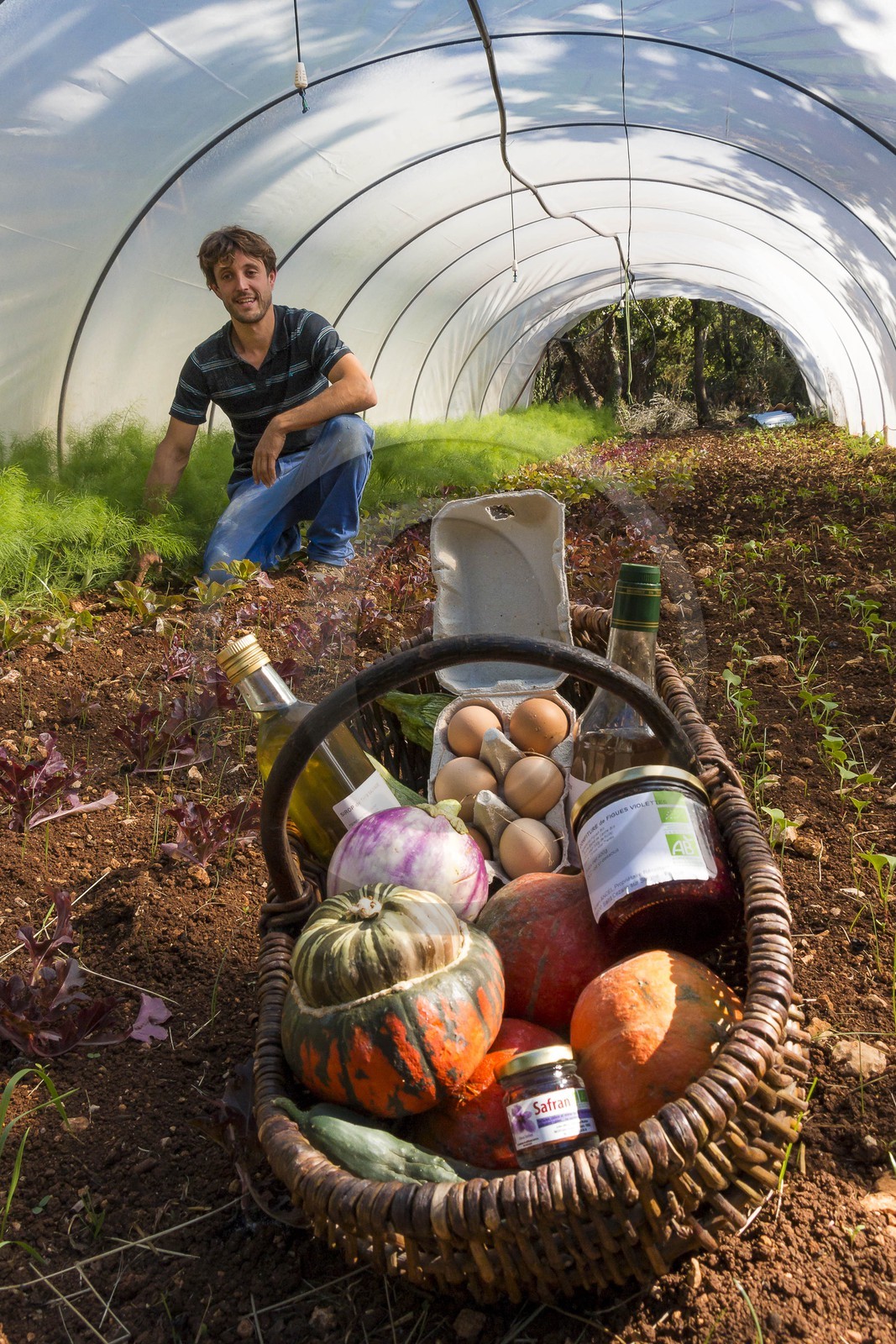 Entre Terre et Miel, Julien Ancel, apiculteur, agriculteur, maraichage
