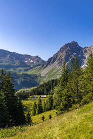 Réserve Naturelle des Contamines-Montjoie, randonnée pédestre