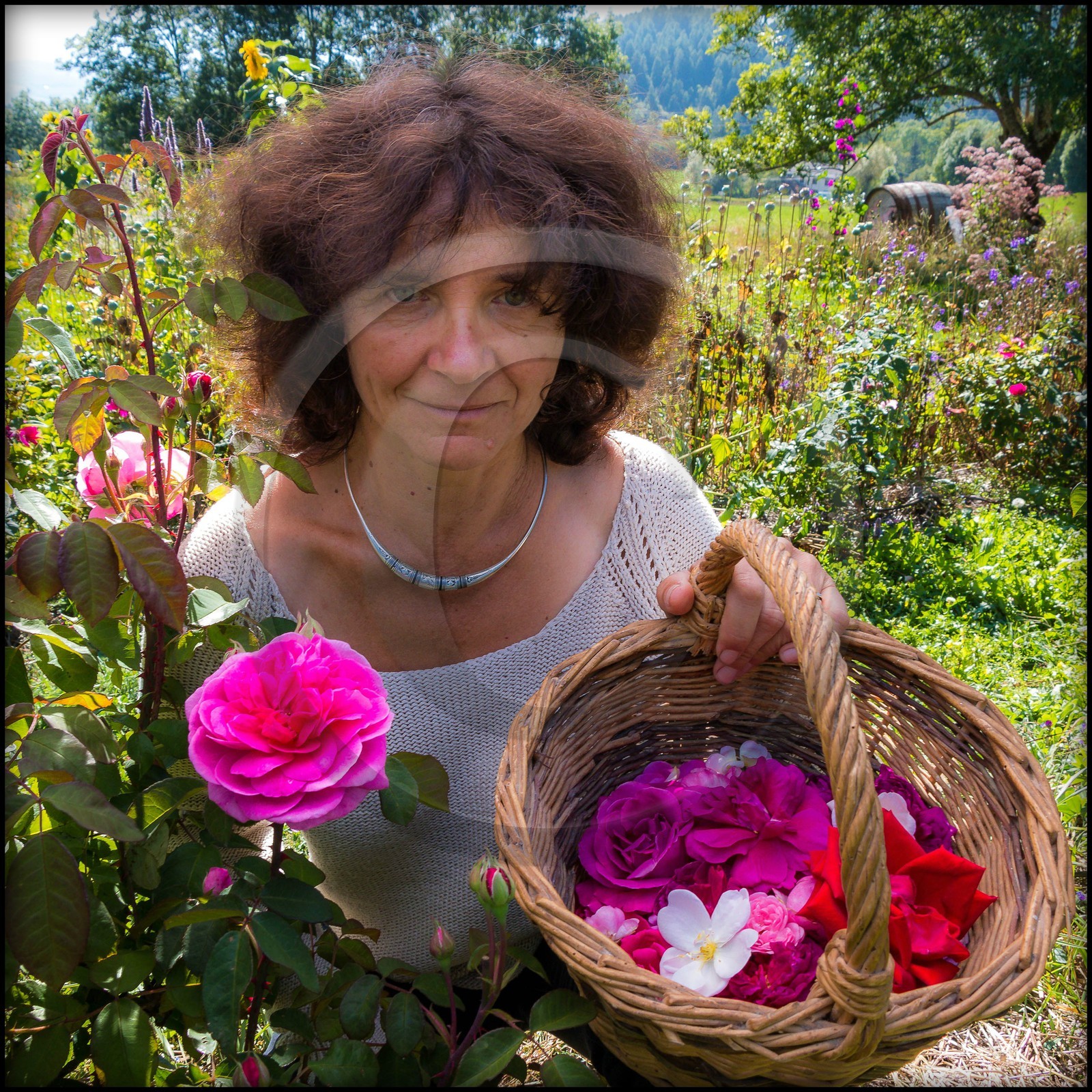 Jardins des Hautes Terres
