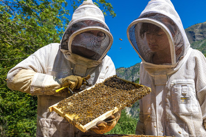 Margaux and Didier Pissard, beekeepers