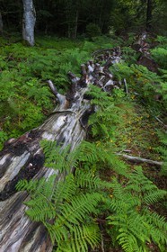 ENS de l'Isère, Les Ecouges