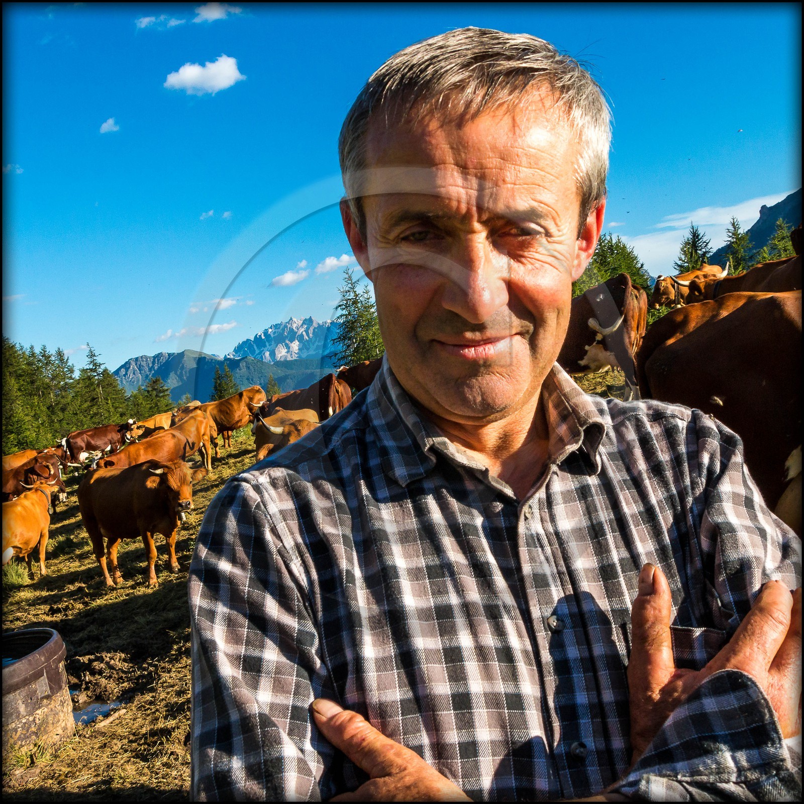 Arvieux, Christian Blanc éleveur de tarines