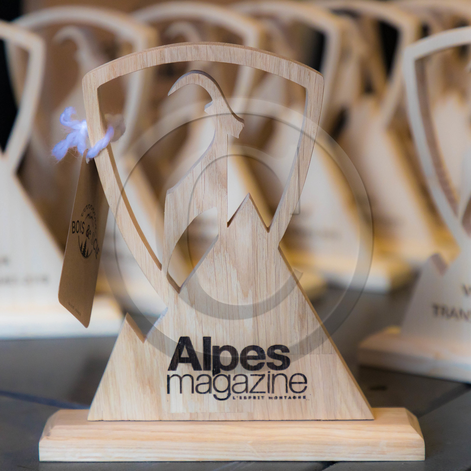 Bois et scie, artisan du bois Mathieu Bois