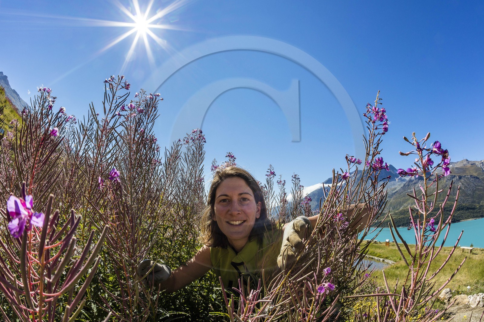 Jardin alpin du Mont-Cenis, Séverine Trouillet