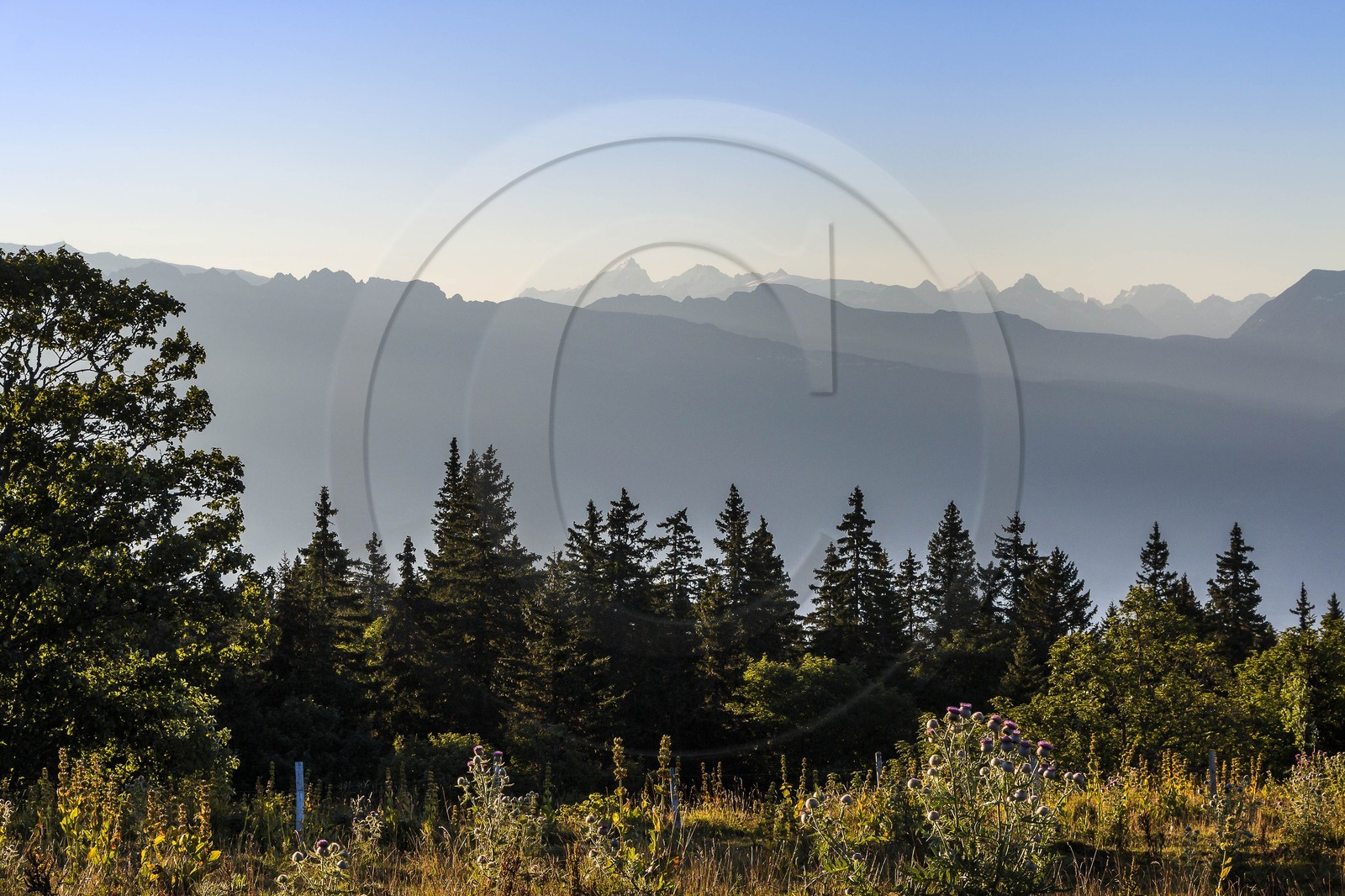 ENS de l'Isère, Plateau de la Molière et du Sornin