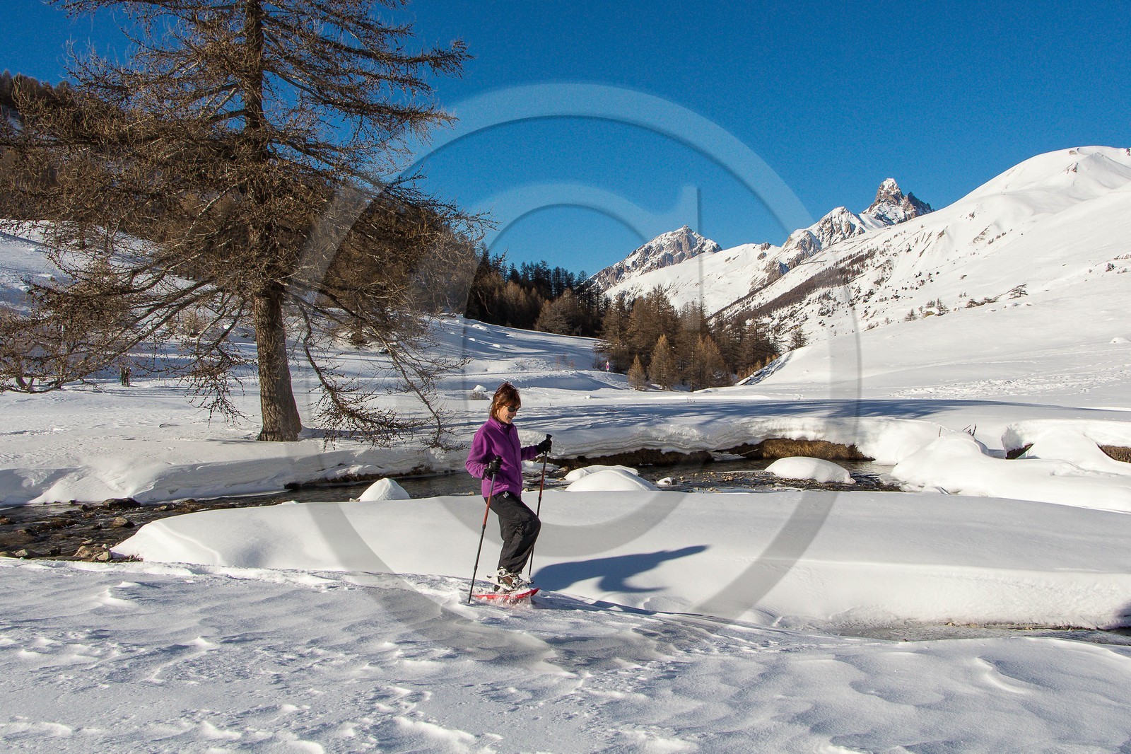 Col de Larche, vallon du lauzanier, randonnée raquettes