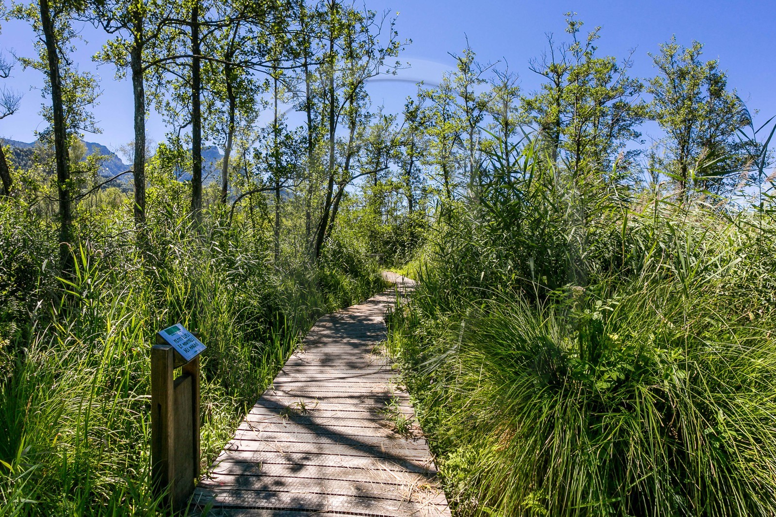 ENS de l'Isère, Tourbières de l'Herretang