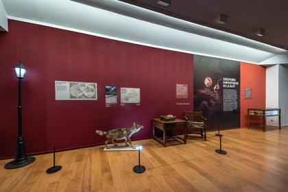 Musée Muséum départemental des Hautes-Alpes, Exposition Nuit