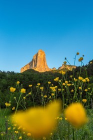 Trièves, le Mont-Aiguille