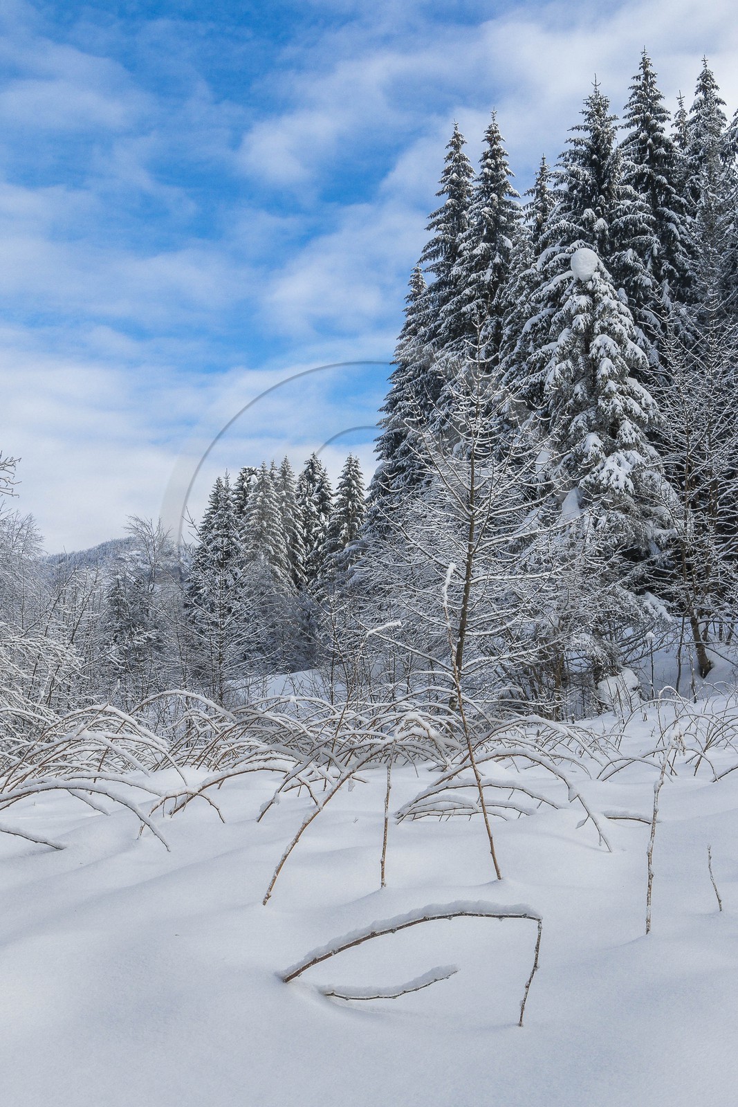 ENS de l'Isère, Les Ecouges