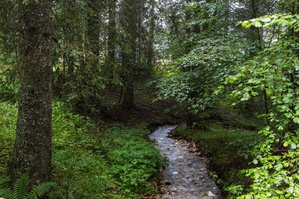 ENS de l'Isère, Les Ecouges