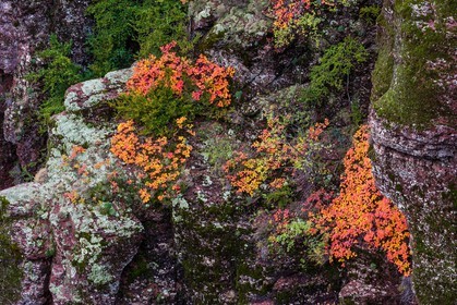 Gorges de Daluis