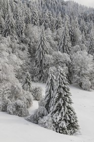 ENS de l'Isère, Les Ecouges