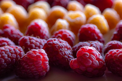 Ecrins de fruits, producteur de fruits rouges