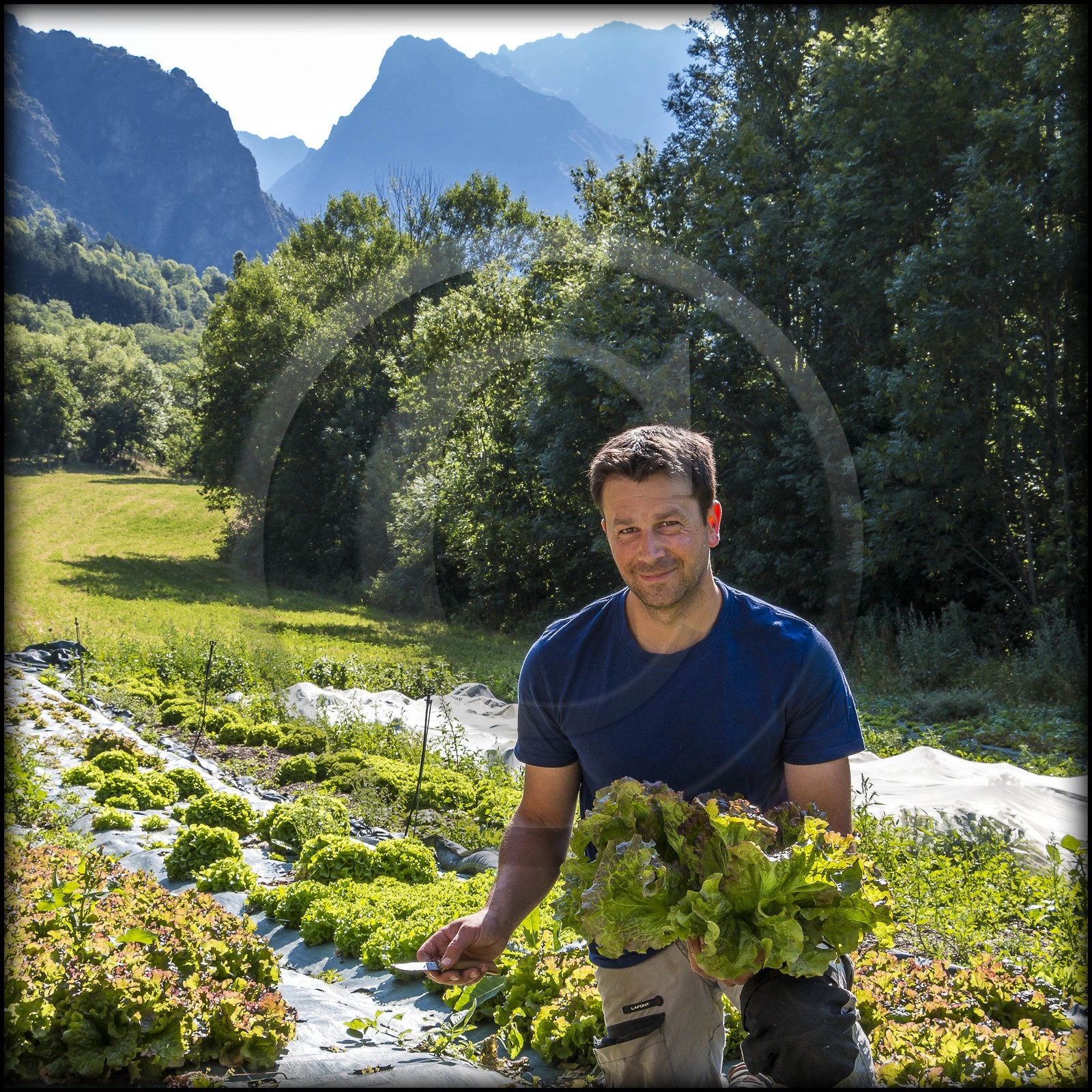 Vallée du Champsaur, Joubert Eric, maraîcher