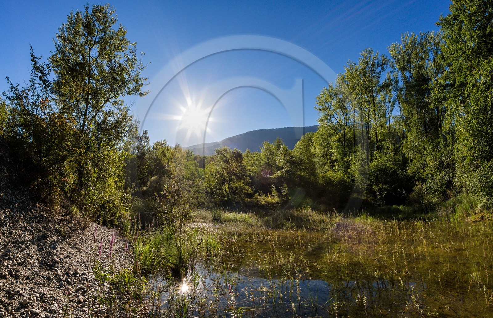 ENS de l'Isère, espace alluvial de la Rolande