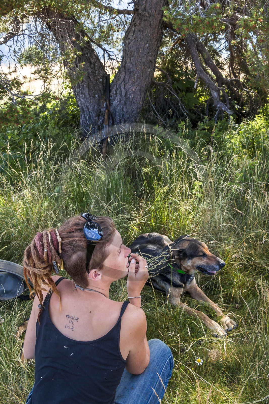 Alpage du Gau, Camille Magrit, bergère stagiaire