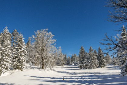 ENS de l'Isère, Plateau de la Molière et du Sornin