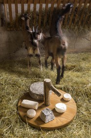 Noémie Kreiss et Julien Kaquet, Ferme des Cabrioles
