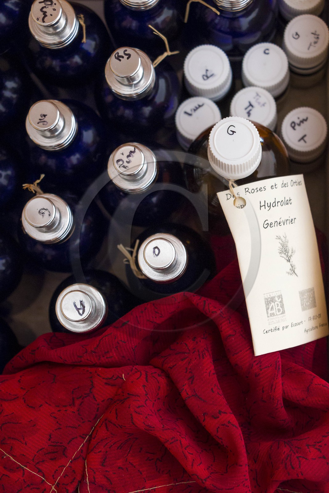 Des roses et des orties, Marie-Jo Etienne