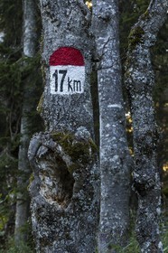 ENS de l'Isère, Plateau de la Molière et du Sornin