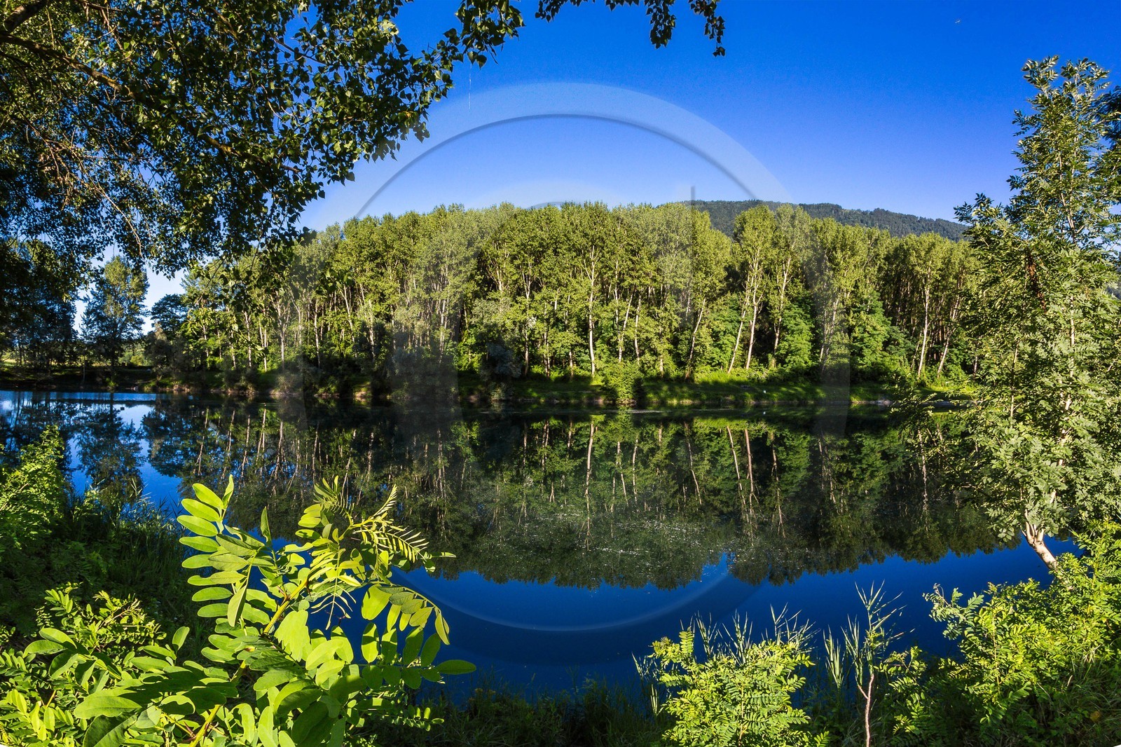 ENS de l'Isère, espace alluvial de la Rolande