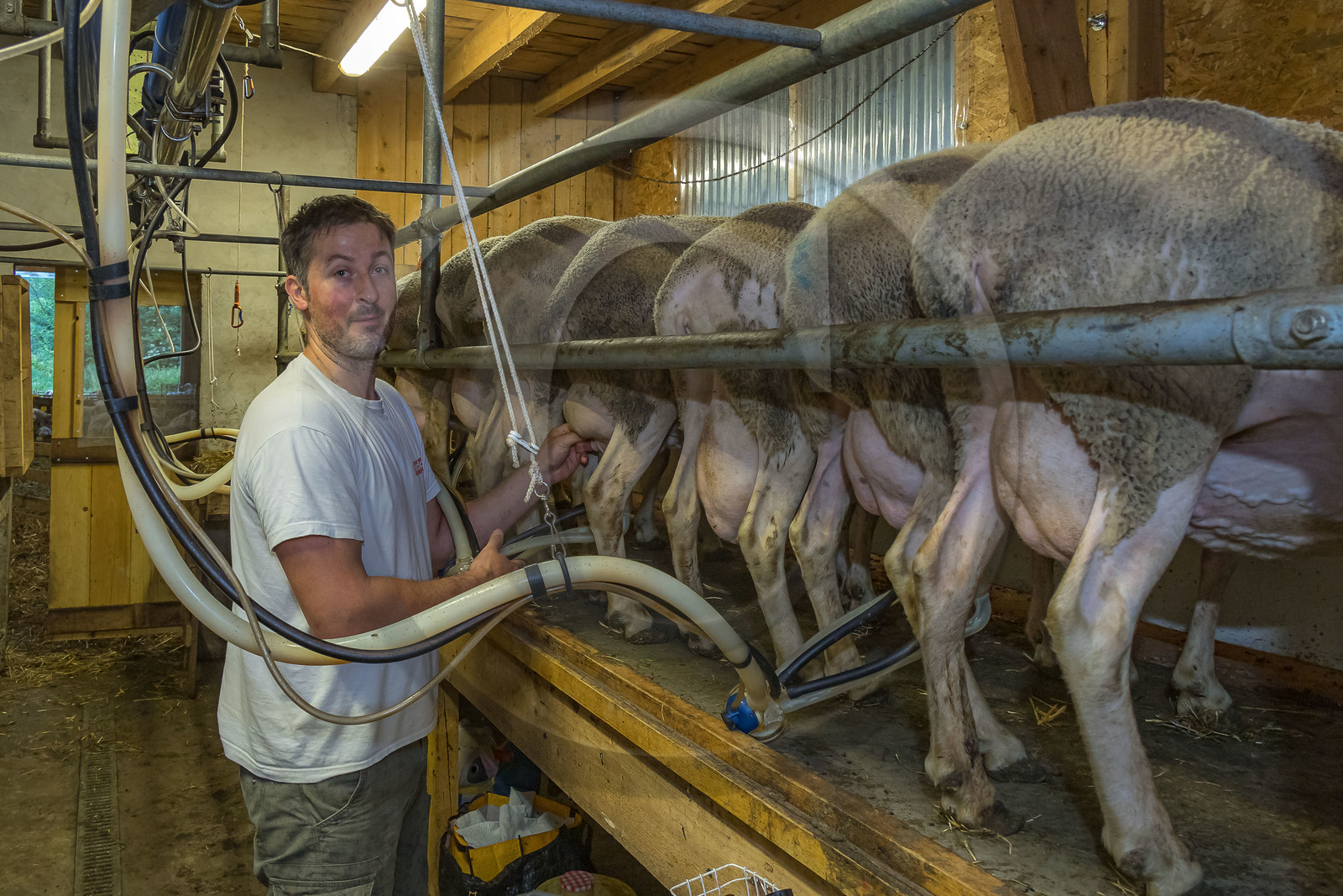 Bergerie de la Lignarre