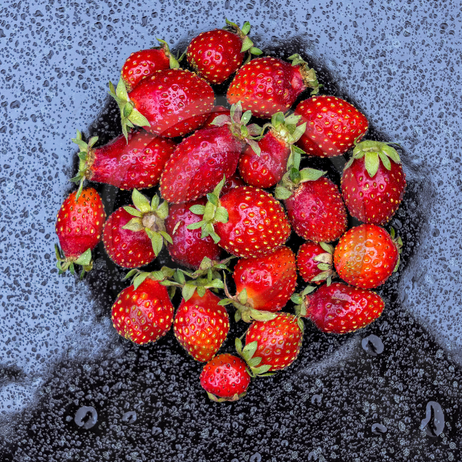 Ecrins de fruits, producteur de fruits rouges