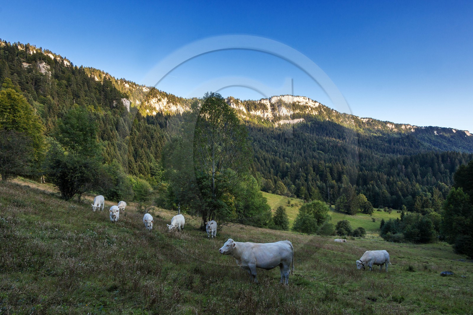 ENS de l'Isère, Les Ecouges