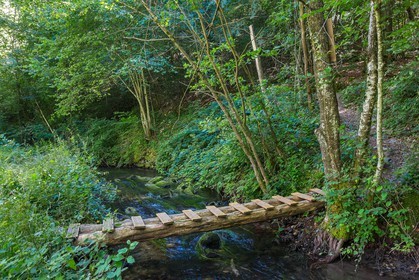 ENS de l'Isère, étang de Cote Manin
