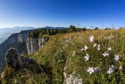 ENS de l'Isère, Plateau de la Molière et du Sornin, du plateau de Sornin