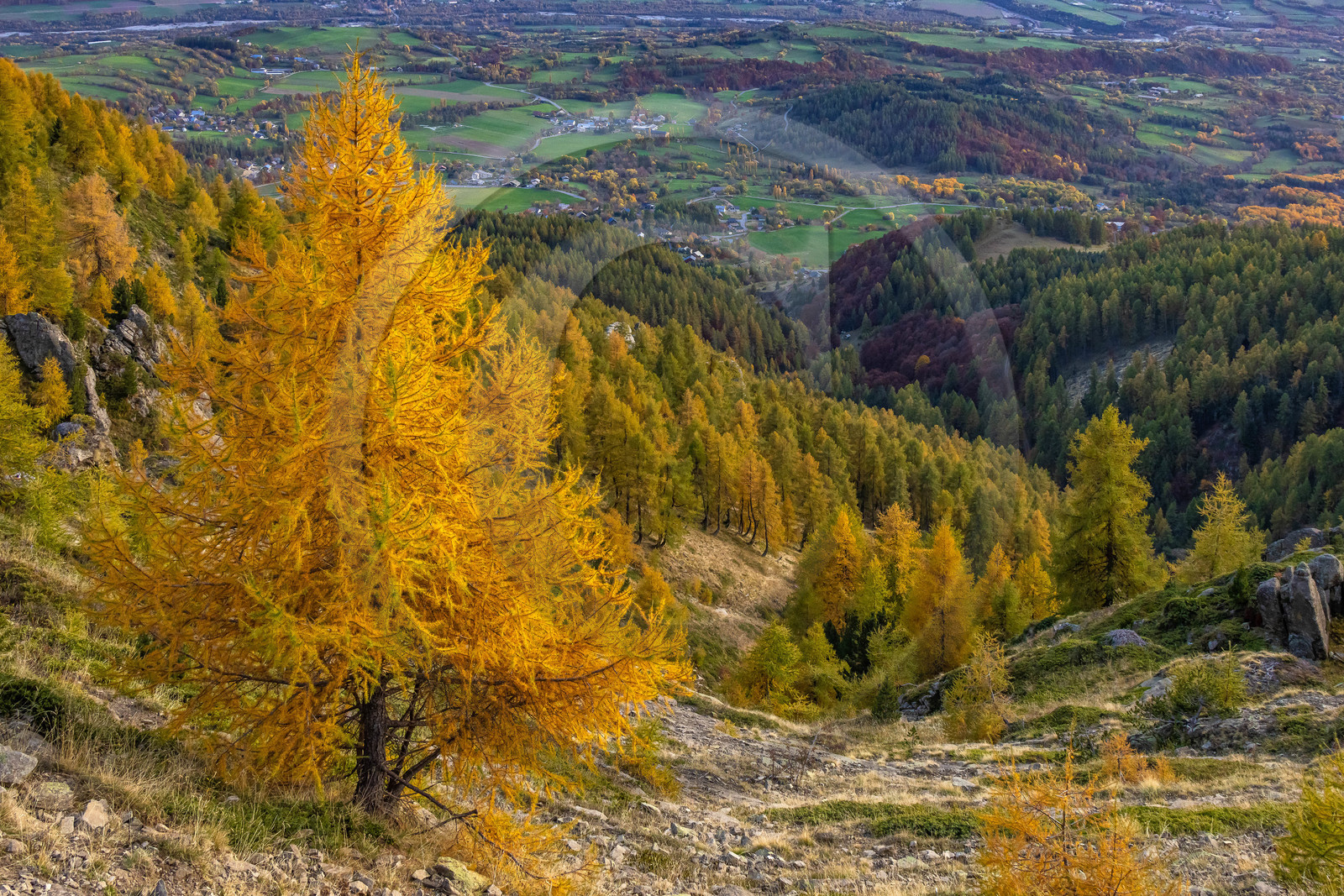 L'automne dans la Vallée du Champsaur