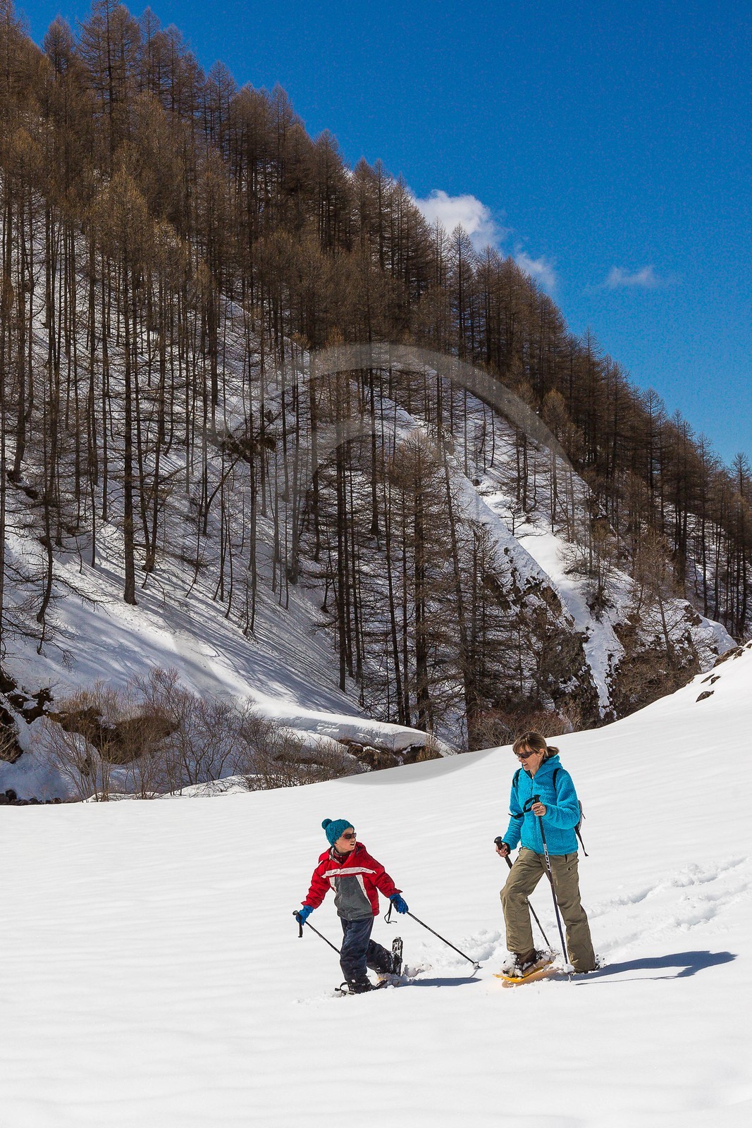 Crévoux, randonnée famille en raquettes à neige