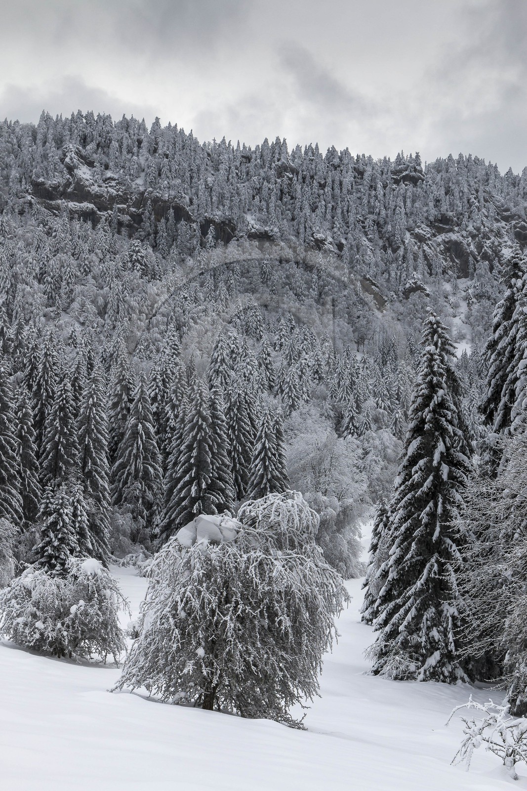ENS de l'Isère, Les Ecouges