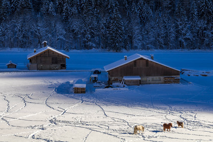 Le Grand Bornand, Les Plans