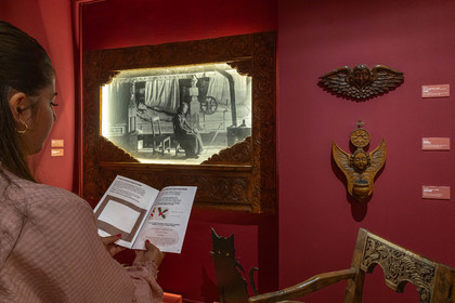 Musée Muséum départemental des Hautes-Alpes, Exposition Nuit