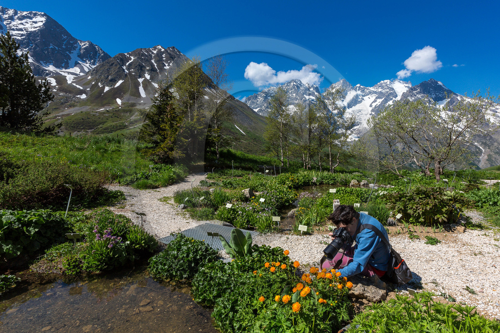 Jardin Botanique Alpin du Lautaret