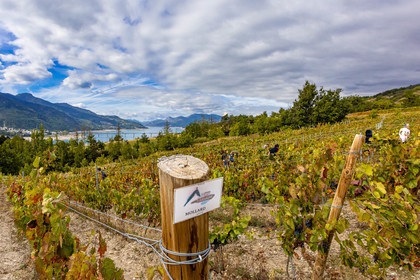 Domaine du Mont Guillaume