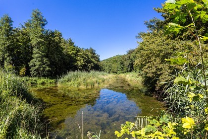ENS de l'Isère, étang de Cote Manin