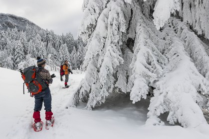 ENS de l'Isère, Les Ecouges