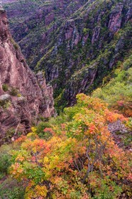 Gorges de Daluis