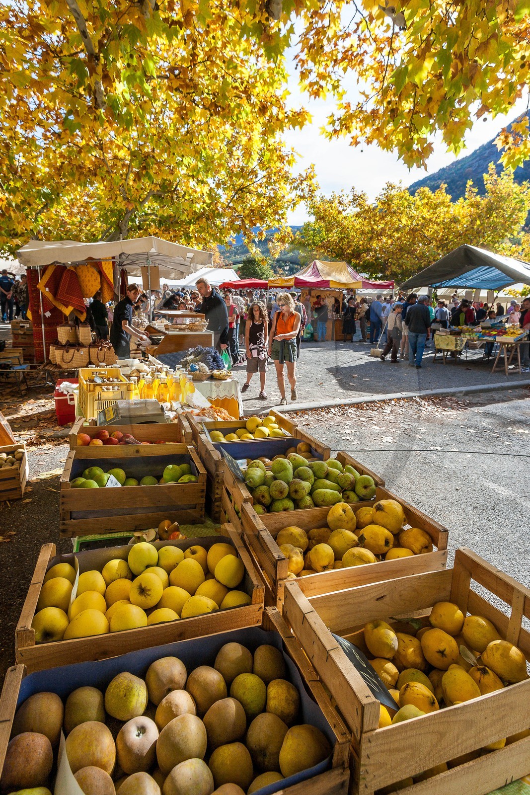 Village d'Orpierre, Marché des saveurs