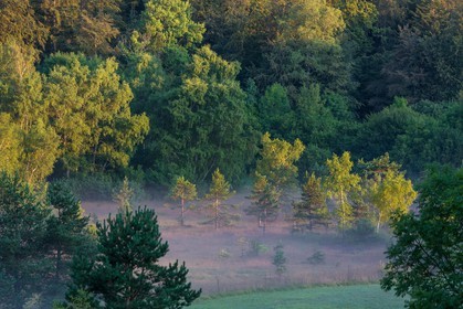 ENS de l'Isère,Tourbières du Peuil